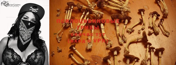 spice Нефтекумск