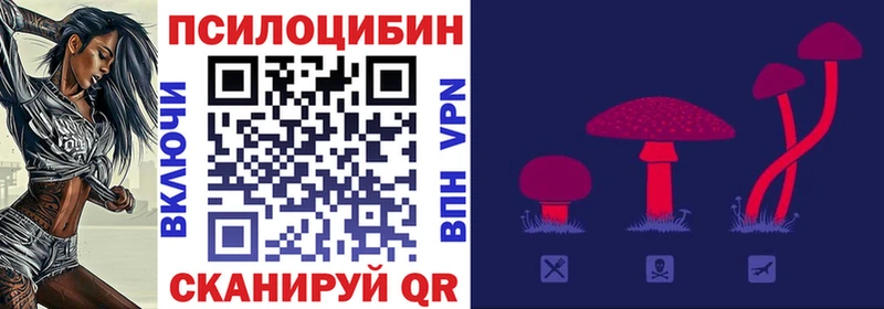 Галлюциногенные грибы Magic Shrooms  Белогорск 