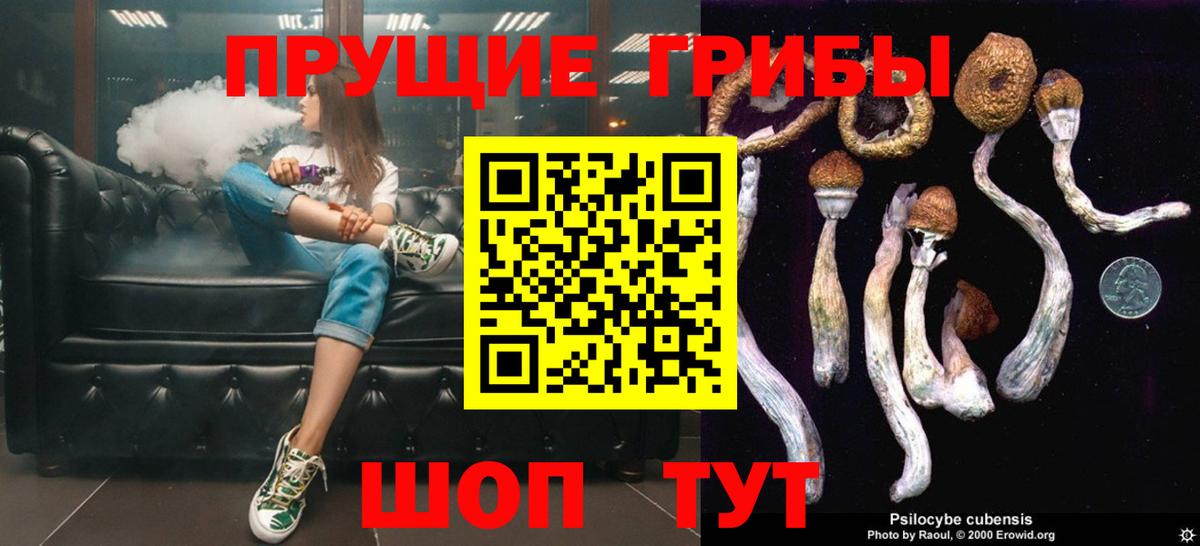 Псилоцибиновые грибы GOLDEN TEACHER Белогорск